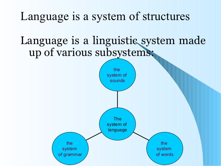 Their language. Language Systems. Language structure. Language as a System. The systemic conception of language.