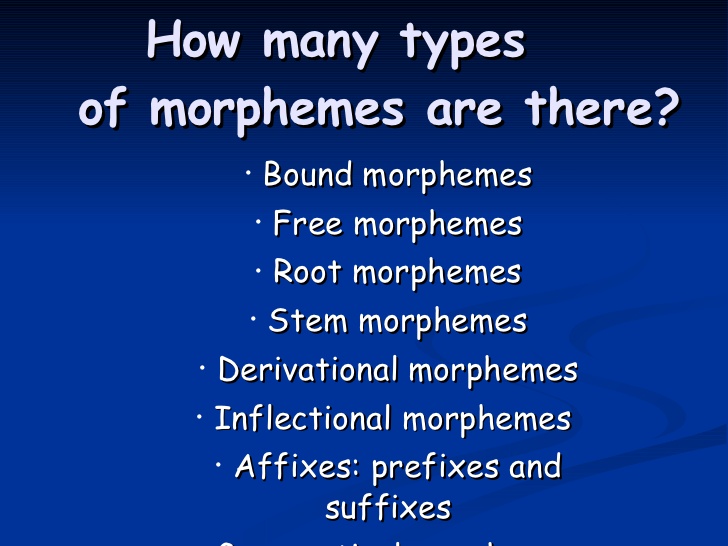 Interesting Facts About Types of Morphemes