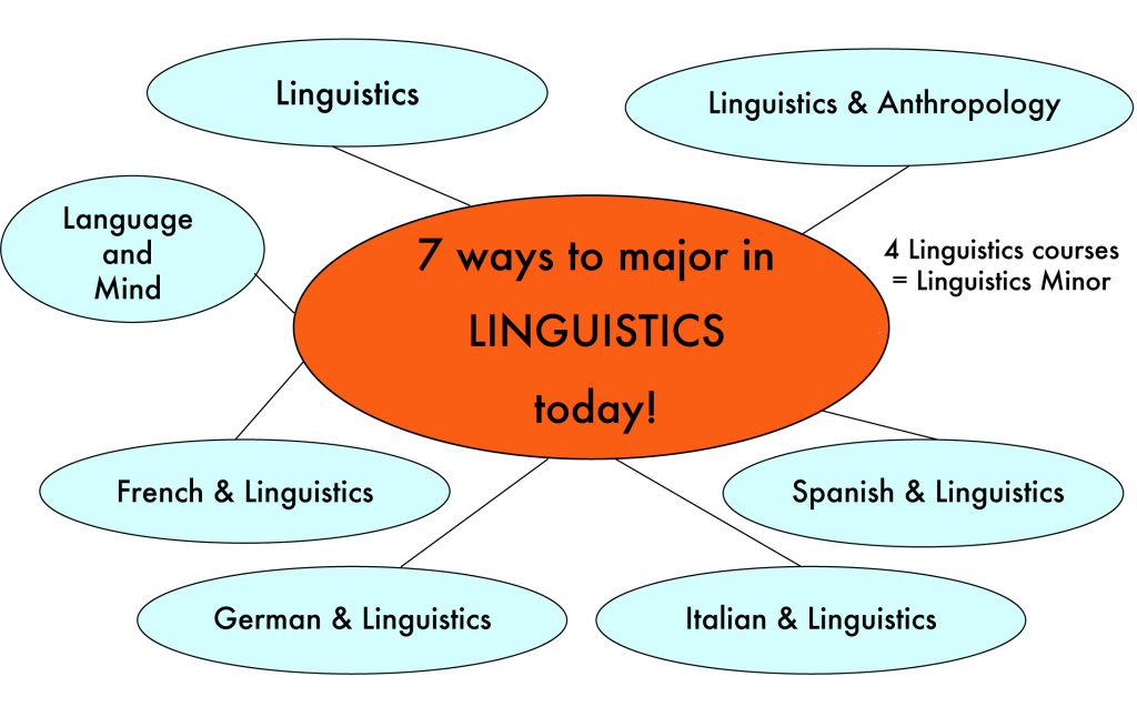 linguistics phd career