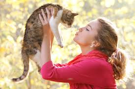 Cat Language:Know 10 Real Signs And Gestures