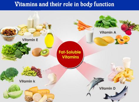 5 Best Types Of Vitamins And Their Functions In Human body