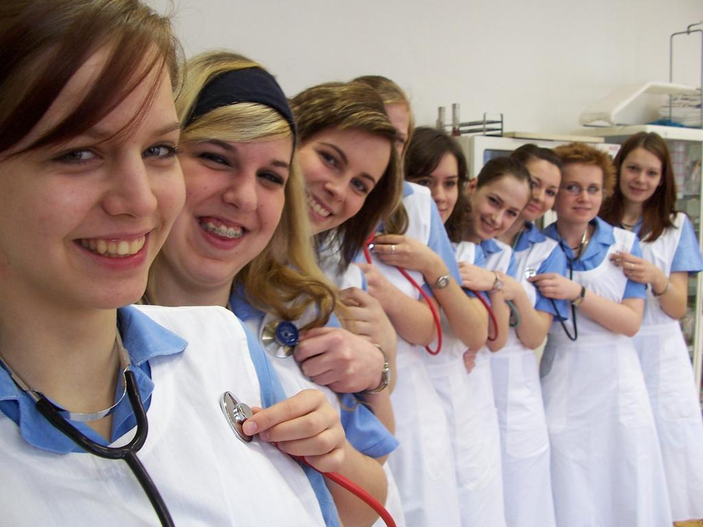 What Is Nursing Process,What Are the Nursing Process Examples