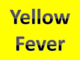 What Is Yellow Fever;Pathology,Treatment,Diagnosis,Prevention