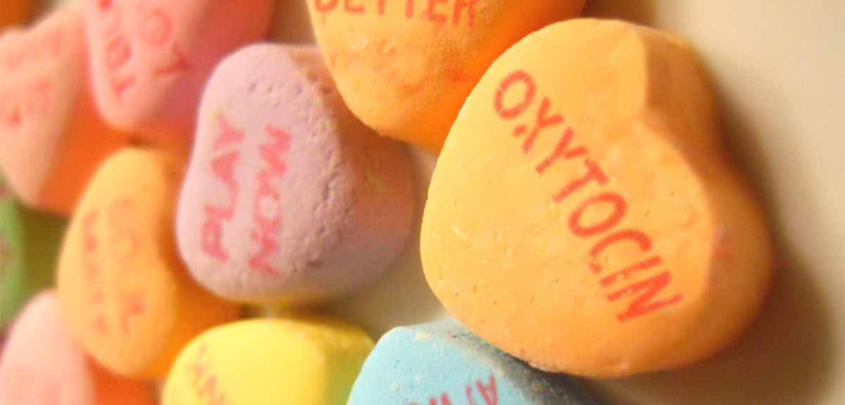 What Is Oxytocin:The Hormone of Love And Happiness