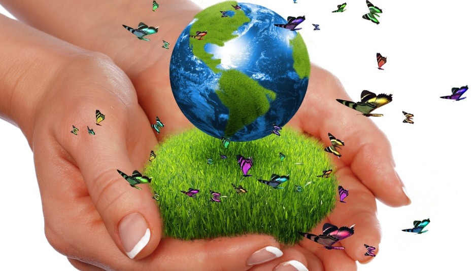 What Is Green Economy;What Does It Do In Economic System