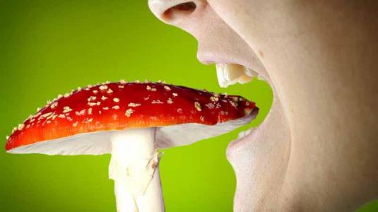 What Is Mushroom Poisoning;Symptoms,Diagnosis And Treatment