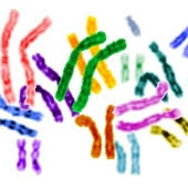 What Is Chromosomal Abnormalities;What Does It Do?