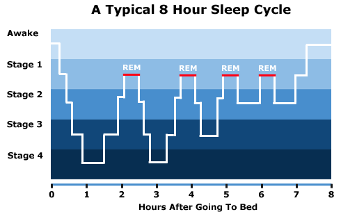 What Are Stages Of Sleep Cycle According To Psychology