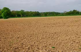 What Is The Soil,Types,Characteristics And Benefits