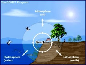 What Is Biosphere;10 Universal Biosphere Facts You Must Know