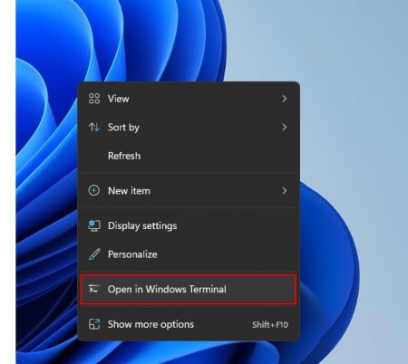 HOW TO OPEN WINDOWS TERMINAL IN WINDOWS 11