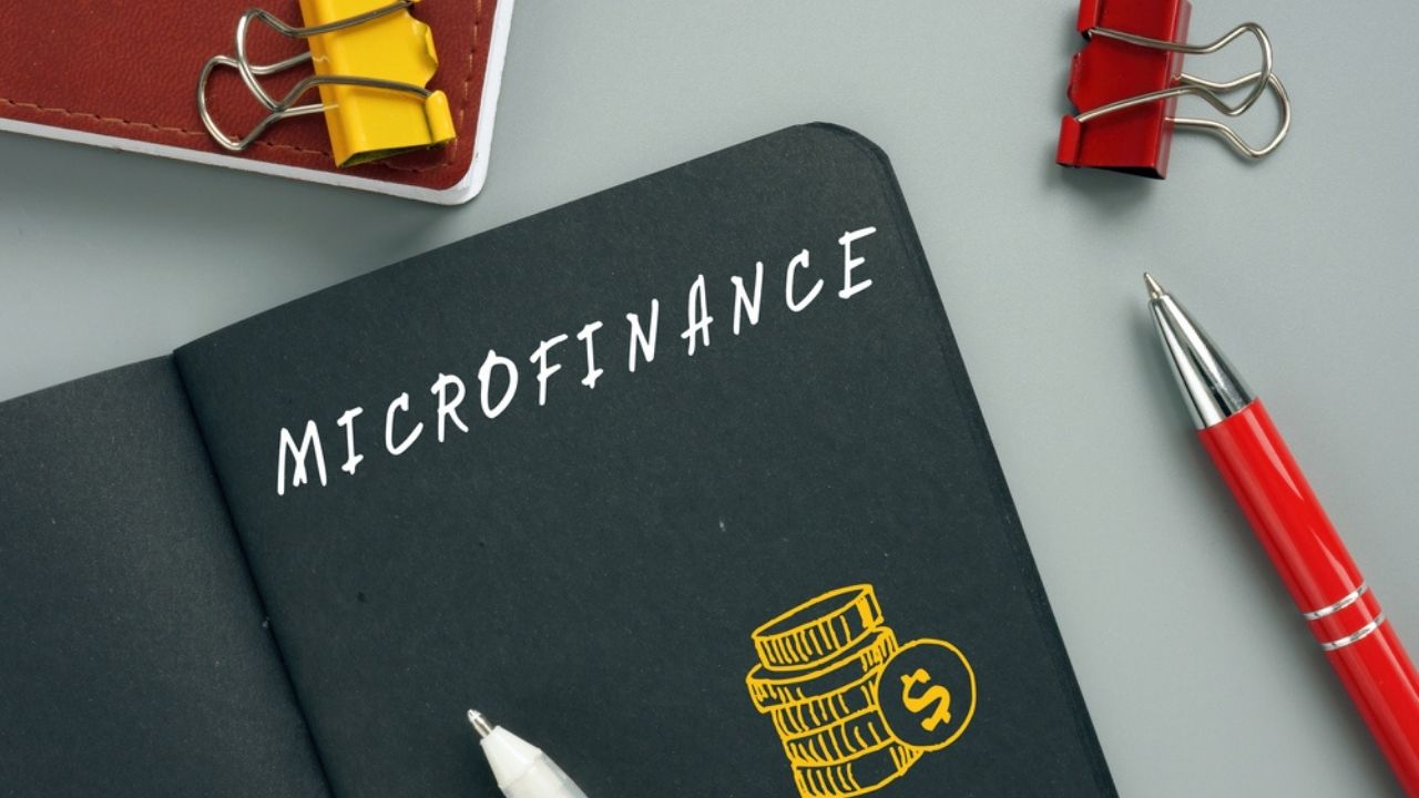The benefits of credit - why take a loan from a microfinance organization?