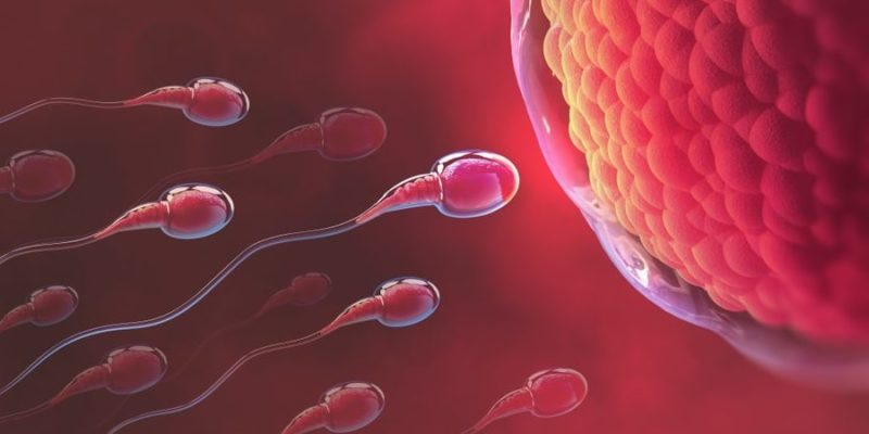 What is sexual reproduction?