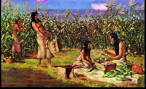 Crops Grew Well in Mesopotamia Because